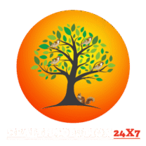 healthsolution24x7.com